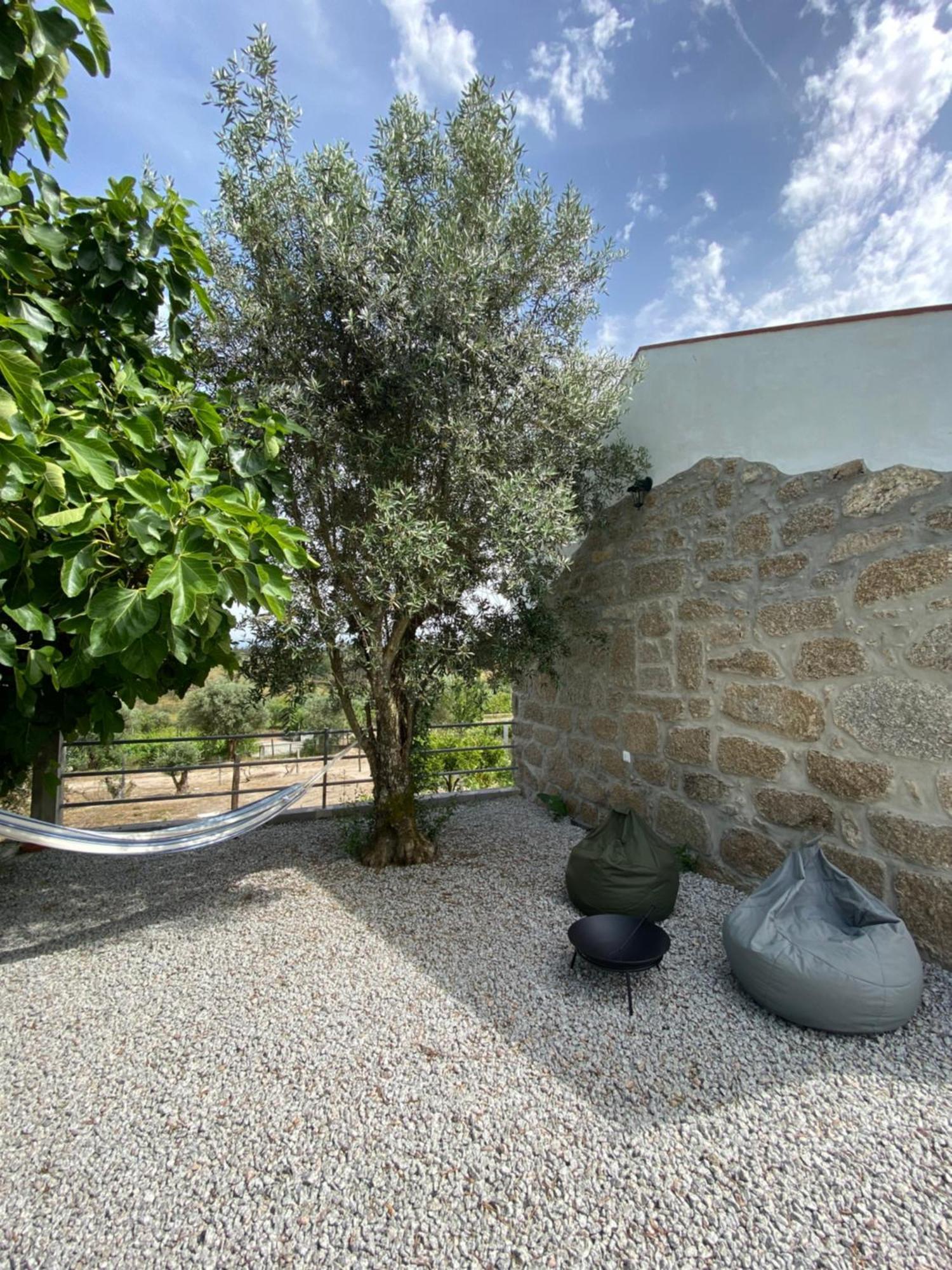 فيلا Casa De Pedra Em Vinha No Dao نيلاس المظهر الخارجي الصورة